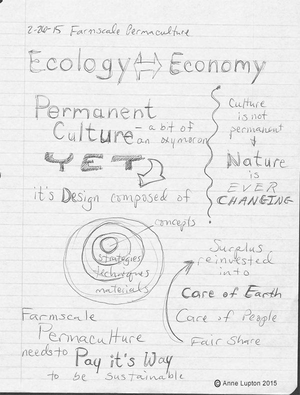 Ecology and Economy need to work together in a farmscale permaculture model. Permaculture comes from permanent culture, which is a bit of an oxymoron. Culture is not permanent. Nature is ever changing. Permaculture design starts with concepts, then strategies, then techniques, then materials. Surplus from this system in reinvested into care of the earth and care of the people. Farmscale permaculture needs to pay it's way to be sustainable.