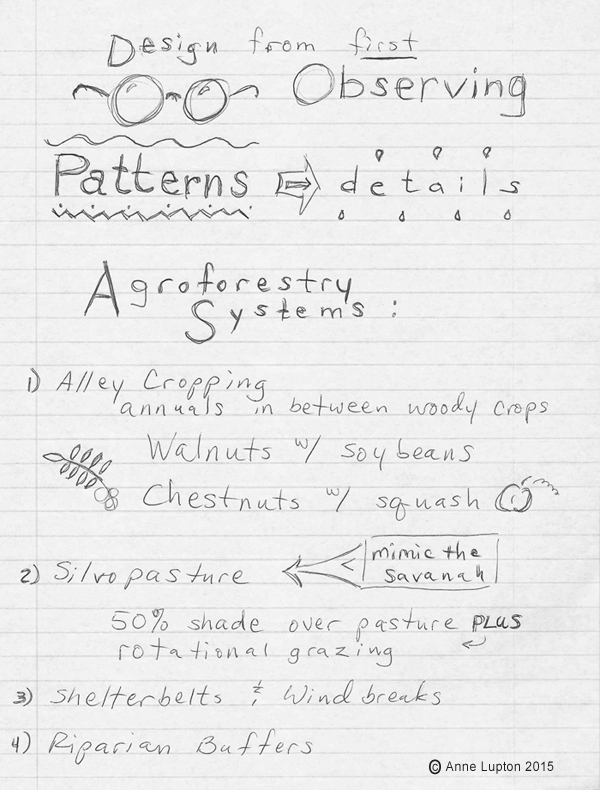 Permaculture design first starts with observation. Look at the patterns, then down to the details. Agroforesty systems include 1) alley cropping, 2) silvopasture, 3) shelterbelts and windbreaks, 4) riparian buffers, hedgerows, 6) forest farming. Silvopasture is 50 percent shade over pasture plus rotational grazing. Forest farming may include woodland medicinals and mushrooms.