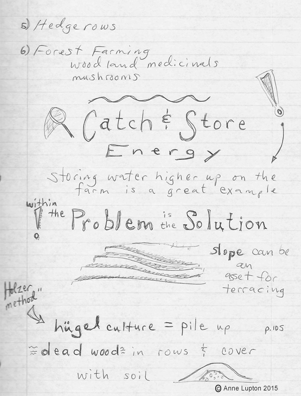 Design should include catching and storing energy. Example: storing water higher up on the farm in ponds and tanks. See a problem? The solution is within it. Example: a slope can be an asset for terracing. Hugelculture mounds can be used to slow and direct the flow of water in a landscape. Pile up dead wood in rows and cover with soil. This is known as the Holzer method. 