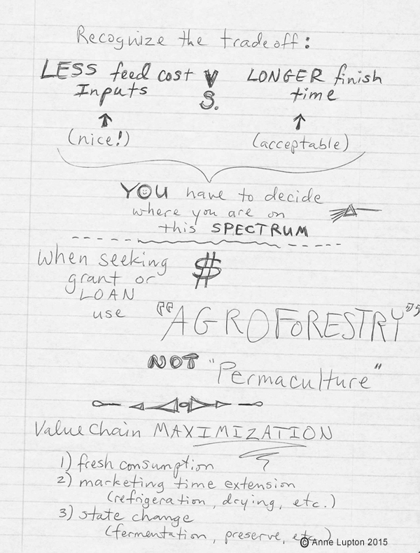 Recognize the tradeoff between money and time. There's no one right answer to balancing cost against profit - you have to decide what you're comfort level is. Example: less feed costs and inputs and very nice, but will likely have a longer finish time to a final product. When you're at the point of seeing grant or loan money use the term AGROFORESTRY instead of permaculture. Permaculture still has a woo woo perception and lenders will stay away. Look at how to potentially maximize the profit on your product through value chain assessment. Selling your product fresh and quickly versus increasing your market time with refrigeration, drying, canning, fermentation, preservation, etc.