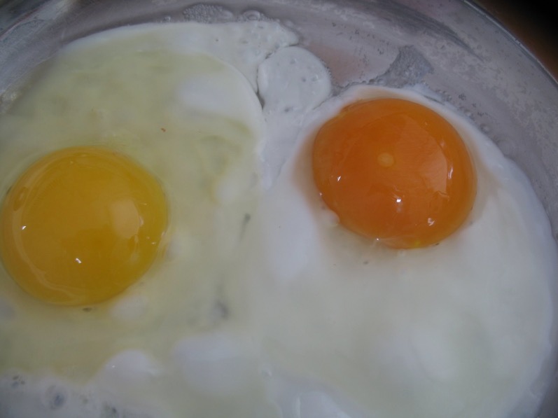 light egg yolk next to dark egg yolk