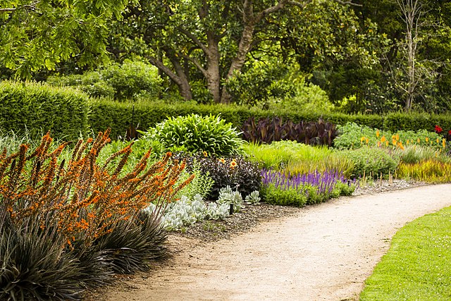 a perennial border in the Melbourne gardens