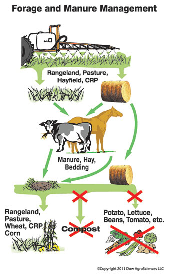 aminopyralid chart