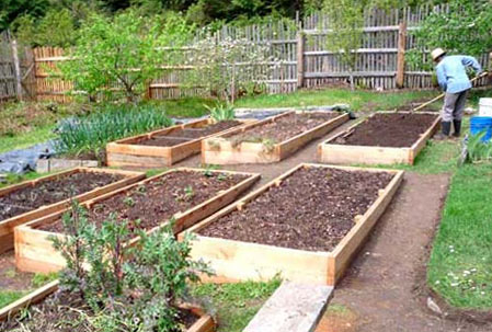 raised garden beds