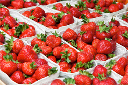 strawberries in cartons